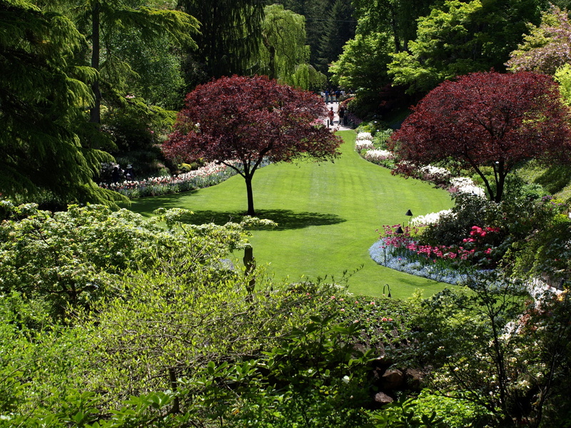 registration, day, tourism, lush foliage, plant, tranquil scene, green, tree, growth, land, foliage, park, 2K, travel Destinations, hedge, leafed, springtime