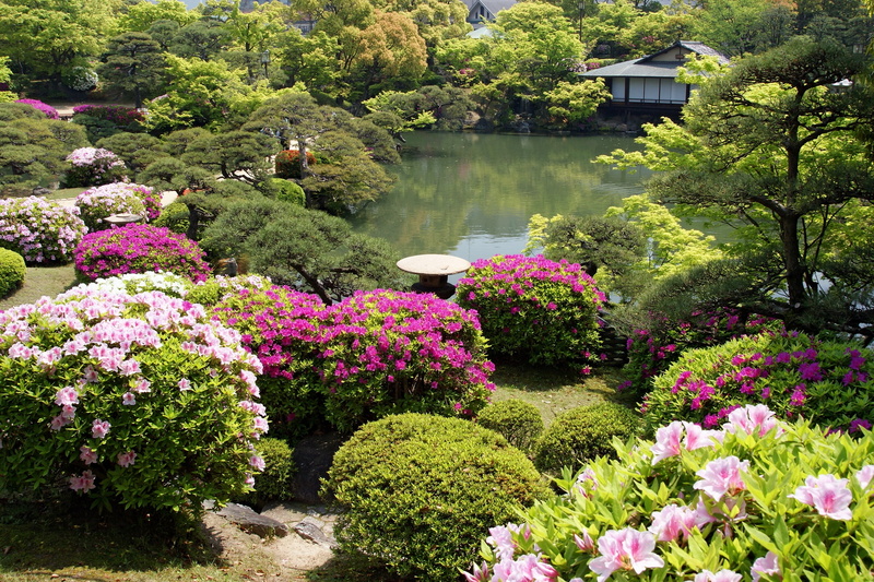 decoration, flowerbed, formal Garden, flowering plant, bush, green Color, pond, no People, pink Color, springtime, 2K, outdoors, lake, flowers, plant