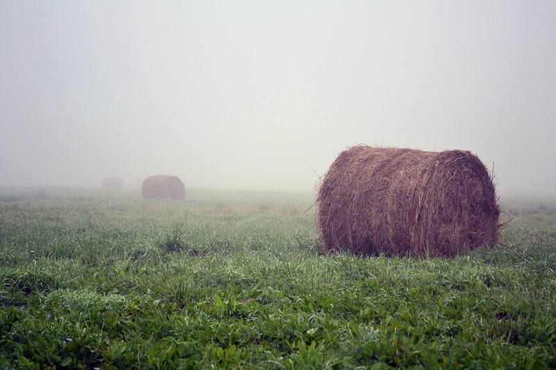 autumn, blue, rural Scene, environment, rolled Up, farm, wheat, agriculture, land, non-Urban Scene, landscape, plant, sky, bale, harvest, hay, the fog