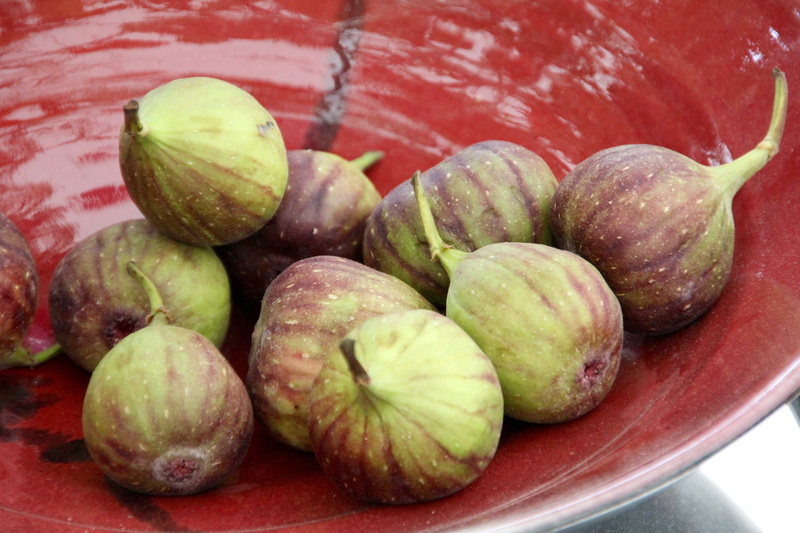 group of objects, close-up, figs, bowl, freshness, ripe, high angle view, abundance, red, food, still life, healthy eating, wellbeing, day, fruit, decorative