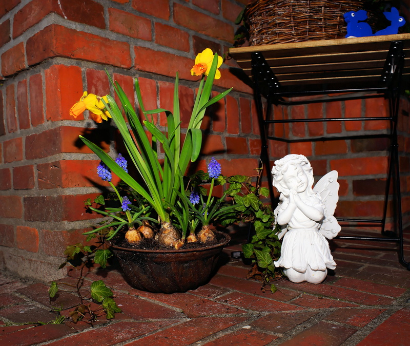 nature, flower, art and craft, no people, potted plant, Angel, ornament, flower pot, figure, building, architecture, Daffodils, wall - building feature