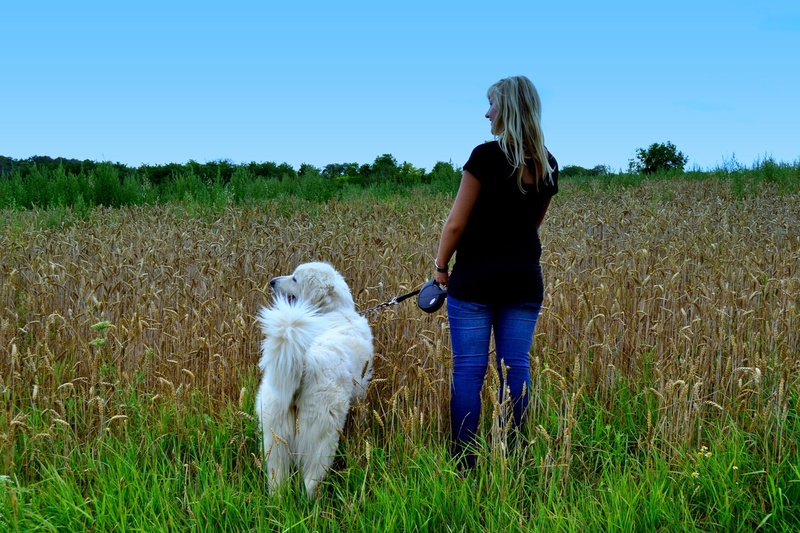woman, one person, domestic animals, casual clothing, nature, field, plant, lifestyles, 1080P, dog, vertebrate, real people, leisure activity, pet owner