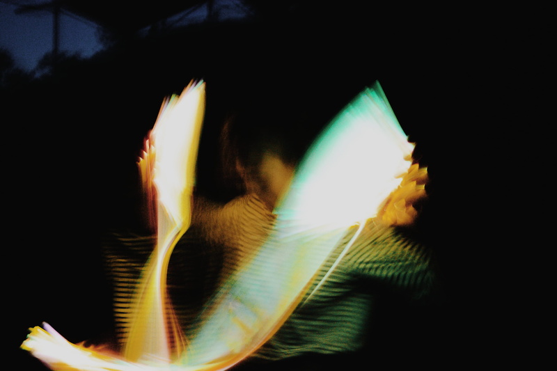 blur, long exposure, one animal, black background, animal, lizard, invertebrate, multi colored, person, close-up, marine, animal themes, motion, reptile