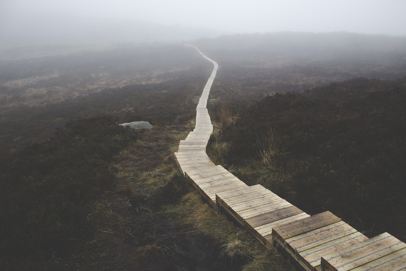 body, fog, travel, bog, scenics - nature, nature, tranquility, trail, foggy, daylight, outdoors, 5K, landscape, architecture, wooden, road, long, environment