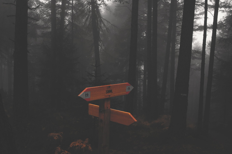 mountain, south tyrol, plant, italy, nature, communication, outdoors, sign, woodland, information sign, pathway, wood, trees, tree trunk, orange, trunk