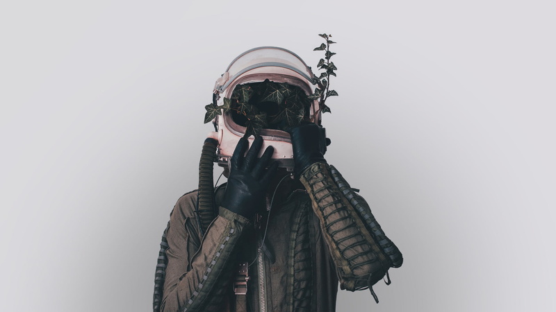 ivy, helmet, 1080P, leaves
