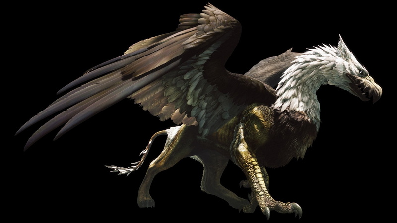dragons dogma dark arisen, 1080P