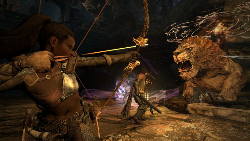 Dragons Dogma: Dark Arisen, Video Game, 1080P