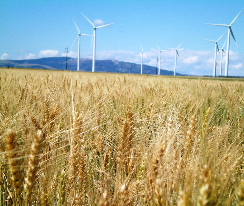 windmill, wind, Program, alternative Energy, farm, grasses, Idaho National Laboratory, microgrid, generator, turning, electricity, landscape, field, turbine