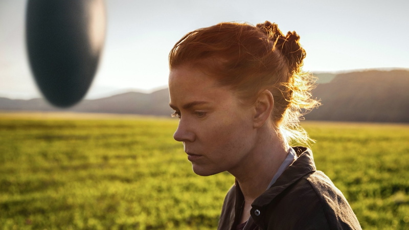 Amy Adams, Movie, 1080P, Arrival