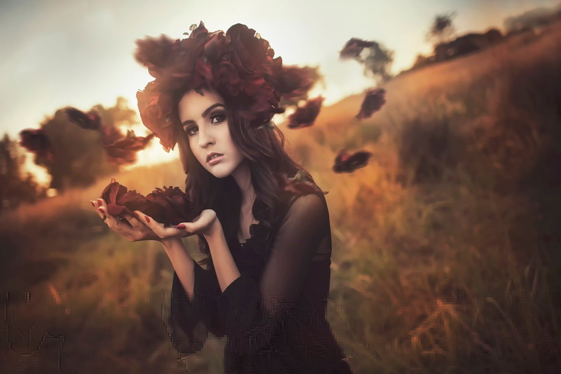 flowers, petals, Rose, the wind, 1080P, portrait