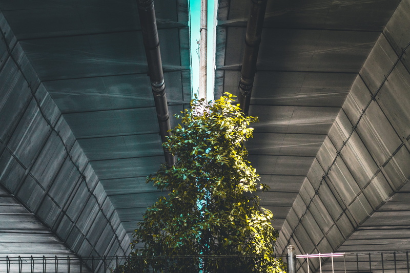 trees, landscape, jalan benyamin sueb, growth, illuminated, indonesia, wall - building feature, connection, railing, the bridge, staircase, no people, green color