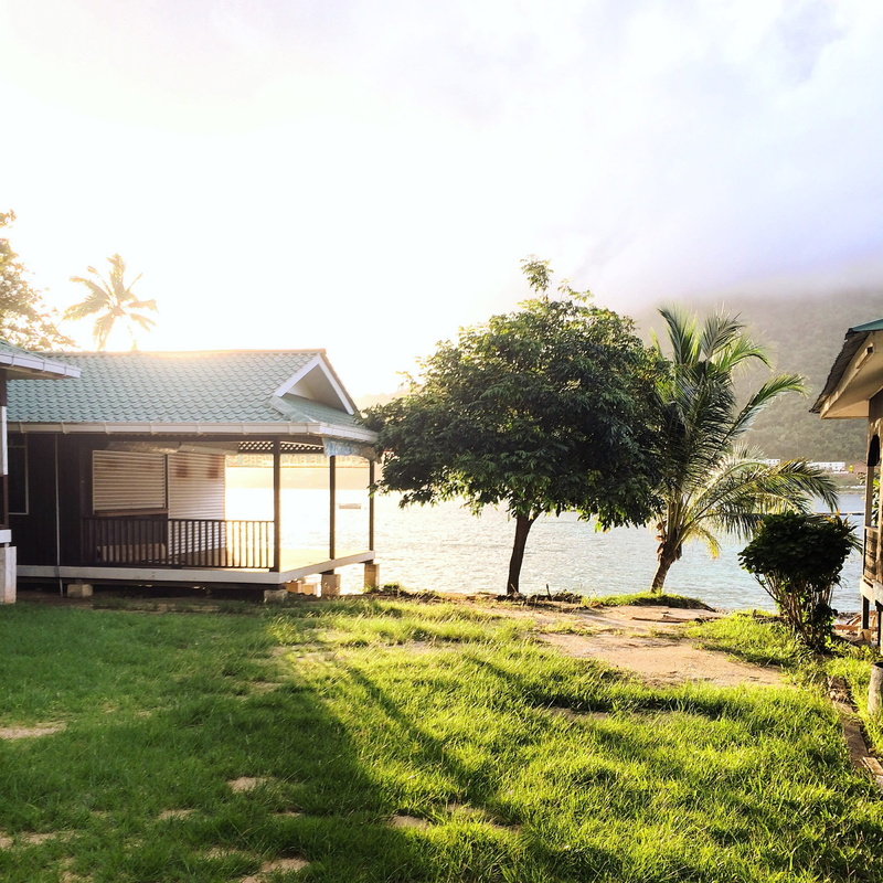 building exterior, island, plant, growth, built structure, no people, tropical climate, sea, land, palm tree, palm, malaysia, tree, field, sunset, house