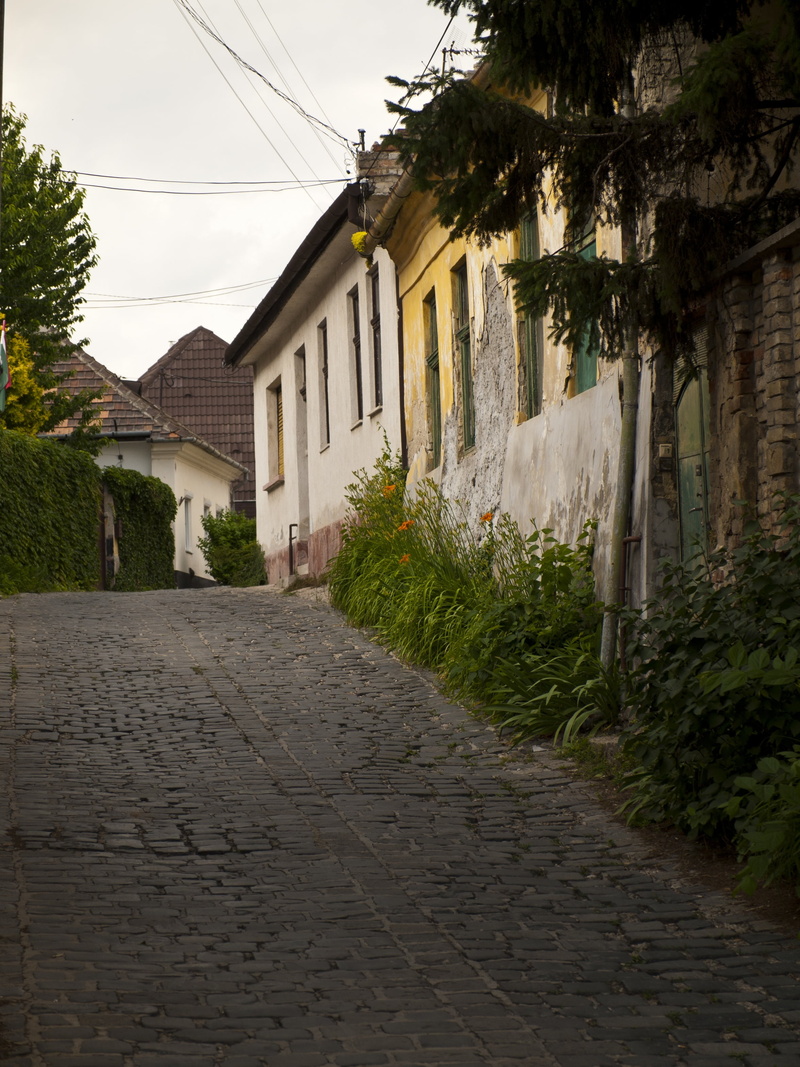 alley, footpath, road, plant, transportation, house, street view, vac, built structure, residential district, cobblestone, the way forward, no people, diminishing perspective