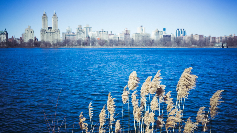 office building exterior, 2K, urban skyline, skyscraper, park, tower, lake, united states, nature, explore, trees, new york, city, central park, outside