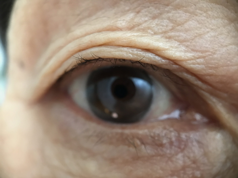 looking at camera, Eye, human skin, eyesight, eyebrow, animal eye, human face, sensory perception, 4K, iris - eye, body part, eyelash, unrecognizable person