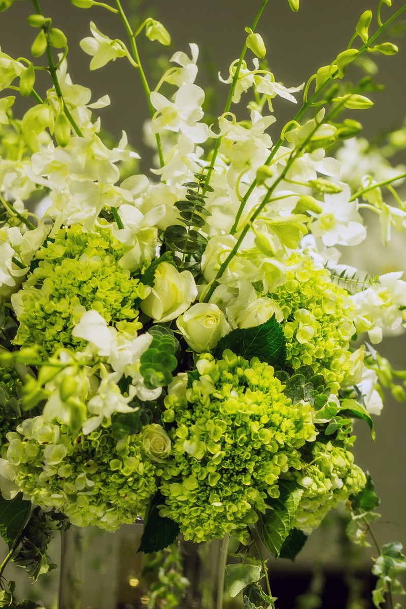 green, summer, agriculture, green Color, no People, 4K, europe, Flower, sort, close-up, focus on foreground, flowers bloom, flowerpot, healthy Eating