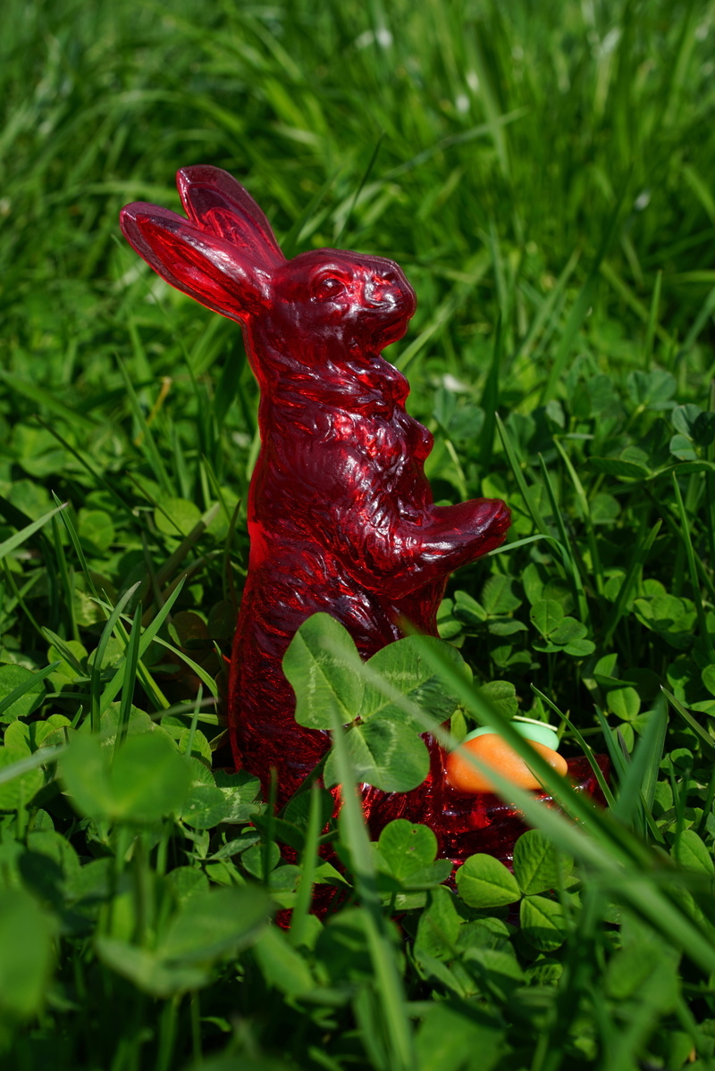 easter, red, vulnerability, long eared, sweet as sugar, flower, pepper, chili pepper, freshness, grass, day, sugar bunny, nature, selective focus, sugar pastries