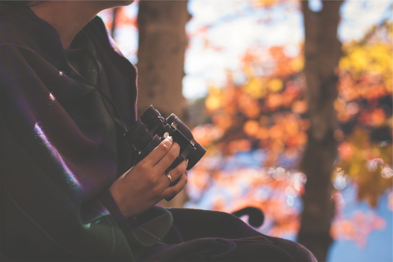 communication, binoculars, daytime, mobile phone, blanket, leisure activity, day, warm clothing, near, photography, technology, black, photography themes