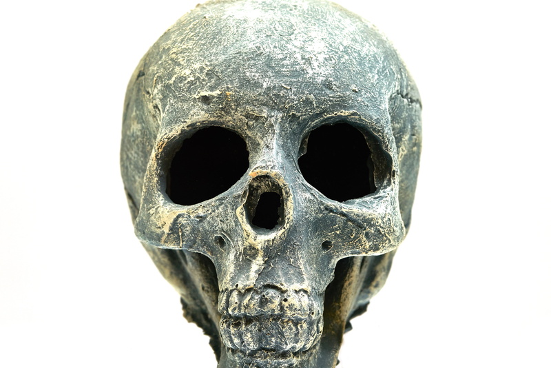 gothic, human skeleton, no people, head, deadly, studio shot, indoors, dark, horror, positive, dry head, fear, spooky, single object, white background