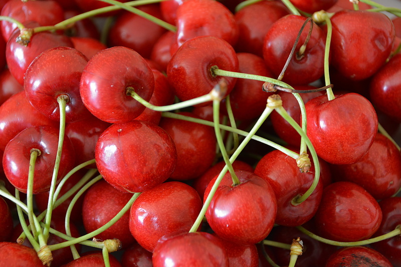 food, plant stem, vegetarian Food, healthy lifestyle, organic, still life, freshness, no people, plant, healthy eating, red, harvest, cherries, red fruits