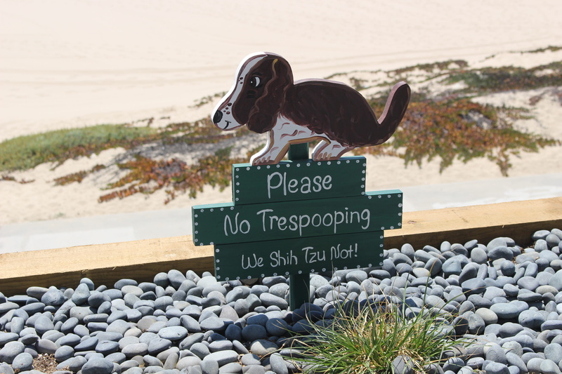 unhygienic, Dog, leash, representation, funny, scoop, day, Nature, art and craft, people, young, grass, water, Poop, park, western script, pebble, green