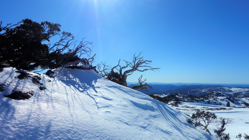 mountain, Perisher Valley, environment, idyllic, Australia, scenics - nature, nature, tree, non-urban scene, tranquil scene, cold temperature, no people