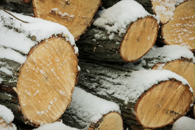 snow, timber, lumber industry, gray, tool, sliced, full frame, tree, recycling symbol, winter, stack, large group of objects, logs, tree stump, cut, forest