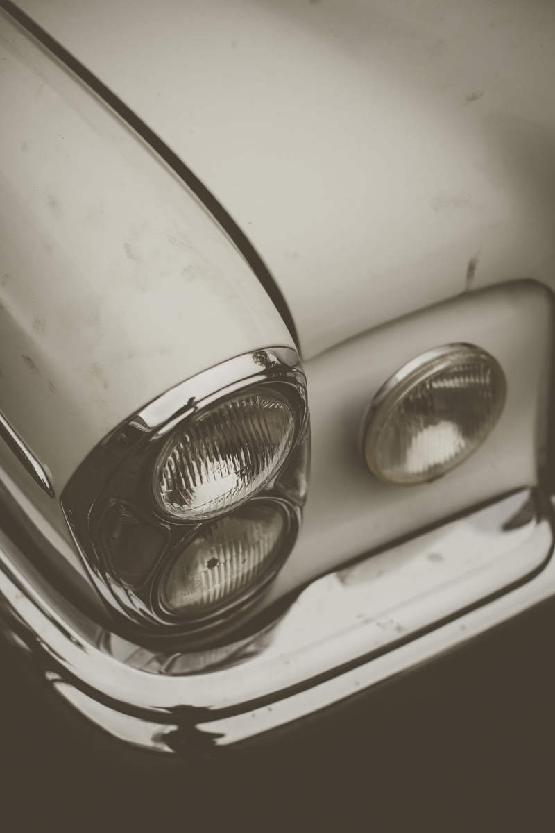 mammal, retro styled, no people, glass, glitter, 5K, plant, water, reptile, recycling symbol, indoors, grille, transparent, glass - material, vintage car