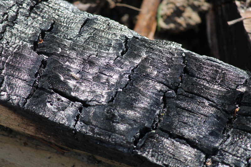weathered, damaged, firewood, 4K, burn, nature, focus on foreground, log, outdoors, pattern, went out, combustion, charred, Campfire, fire, Carbon, metal