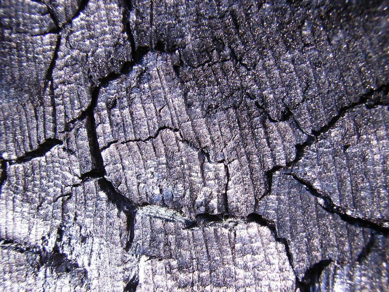 day, cracked, wood fire, tree trunk, beauty in nature, ash, nature, trunk, purple, arid climate, 2K, burned, plant, firewood, no people, tree, rough, softwood