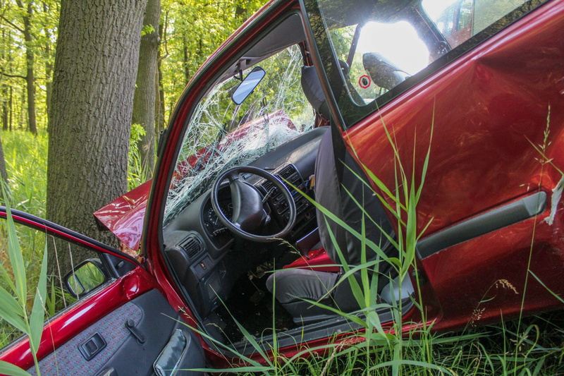 plant, crash landing, abandoned, tree, traffic, damaged, dare, day, no people, vku, warning triangle, wheel, car, land, crash, run-down, motor vehicle