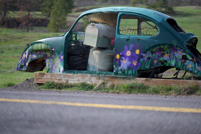 grass, 5K, travel, wheel, green, wa, no people, day, asphalt, catherine creek, stationary, volkswagen, misfortune, vehicle, tarmac, road, flowers, outdoors