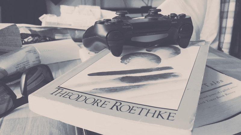 focus on foreground, spontaneous, roethke, still life, western script, close-up, book, violence, sign, publication, no people, ps4, indoors, information
