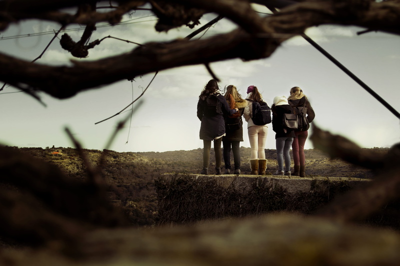 view, natural, friends, group of people, grass, miranda do douro, spontaneous, portugal, selective focus, land, sky, women, nature, tourist, men, standing