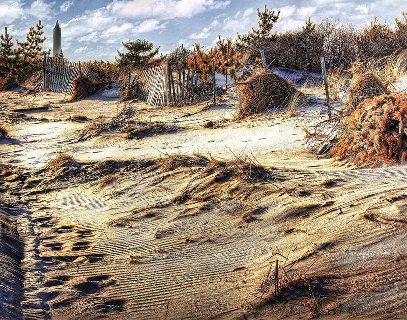 protection, daytime, sky, scrub brush, leaf, inland, grass, jones beach, 1080P, no people, solid, rock, coastal, dry, trees, dunes, dead plant, scenics - nature