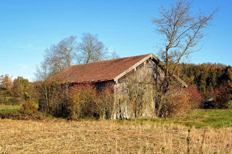 environment, blue, land, building exterior, built structure, architecture, wooden boards, tree, day, log cabin, scale, bare tree, 5K, house, barn, rural scene