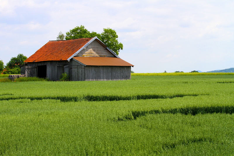 hut, meadow, sky, grass, plant, landscape, beauty in nature, rural scene, land, day, no people, farm, plantation, growth, old, building exterior, building