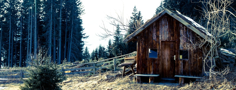 5K, decay, building exterior, wood - material, cabin, wood, sky, woodland, alm, outdoors, trees, scale, wooden, built structure, autumn, boards, non-urban scene