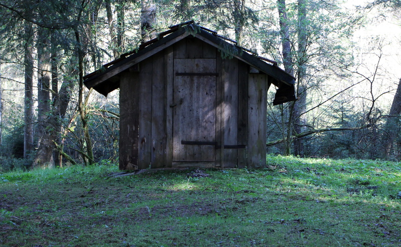 woodland, built structure, mountain hut, cabin, abandoned, plant, green color, log cabin, outdoors, architecture, scale, old, grass, tranquility, rest house