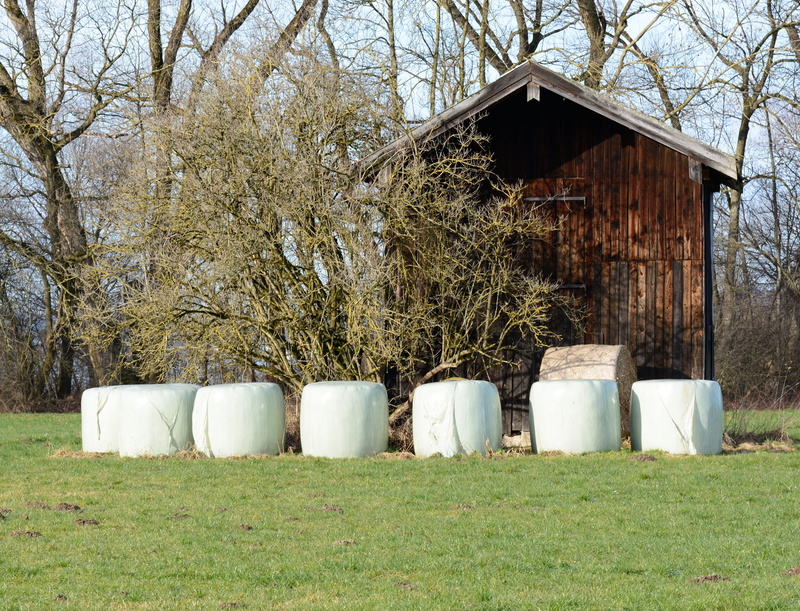 old, landscape, cylinder, architecture, plant, grass, nature, tree, pasture, day, field barn, scale, agriculture, bavaria, building exterior, green color
