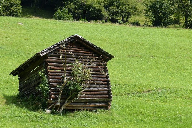 field, green color, heustadel, scenics - nature, grass, scale, plant, land, log cabin, barn, growth, landscape, architecture, outdoors, mountain meadow