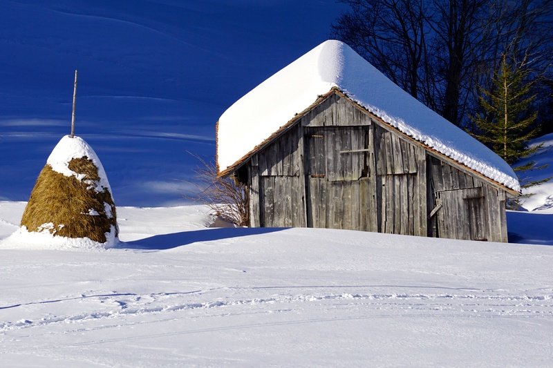still, idyll, barn, scale, old, log cabin, built structure, building exterior, sky, rural, mood, 5K, snow, building, rest, forest, white color, no people