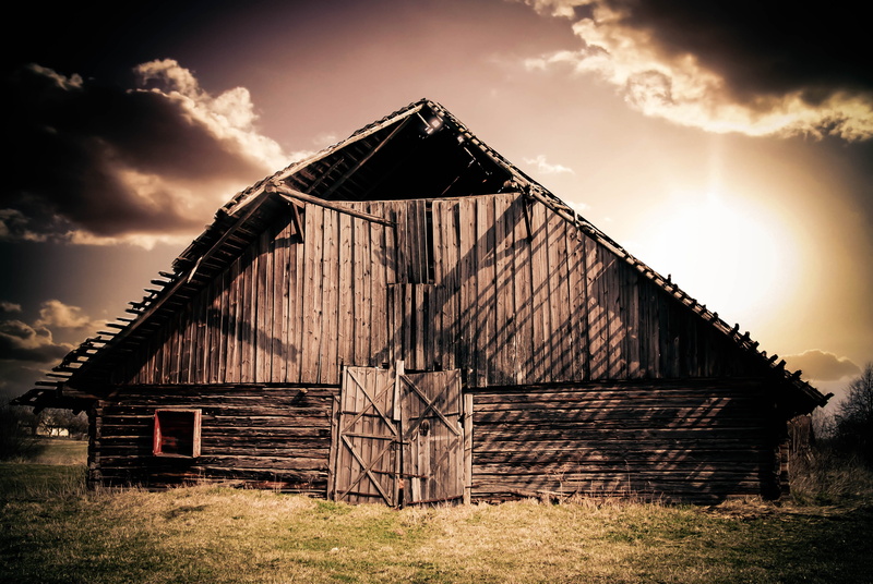 barn, 4K, wood - material, no people, abandoned, plant, old, built structure, lapsed, heustadel, meadow, building exterior, brown, house, agricultural building