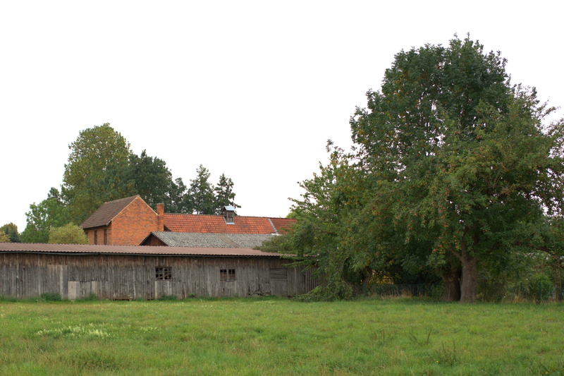 log cabin, building exterior, outdoors, grass, plant, no people, agricultural building, building, tree, architecture, scale, built structure, house, agricultural