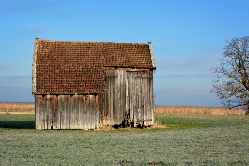 farm, hut, wooden, green, blue, shed, upper bavaria, built structure, building exterior, plant, plain, log cabin, brown, barn, wood - material, grass, environment