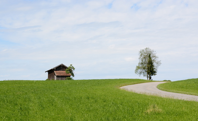 plant, log cabin, rural Scene, hut, summer, growth, away, field barn, outdoors, landscape, green Color, 4K, tranquility, meadow, agriculture, architecture