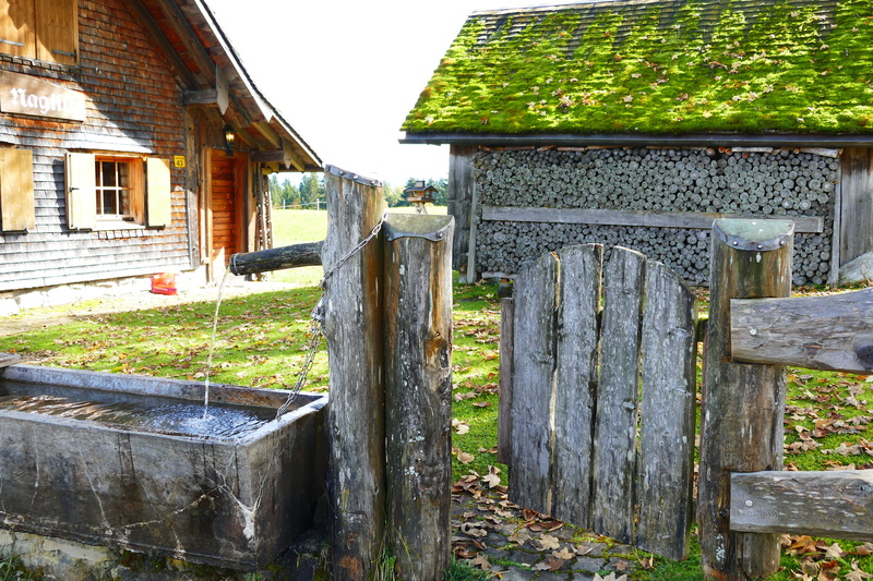 wood - material, nature, no people, house, wood, architecture, plant, scale, barrier, log cabin, day, live, outdoors, green color, sky, drink, home, stock