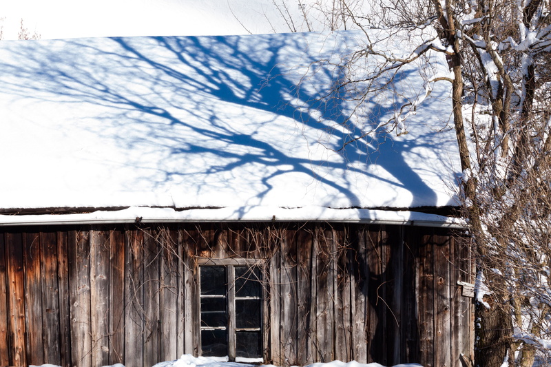 weathered, building exterior, building, scale, wood - material, background, plant, decay, abandoned, architecture, winter, built structure, nature, hut