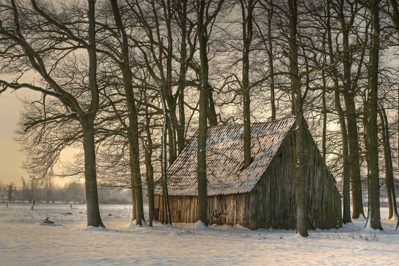 no people, snow, 4K, stall, scenics, winter, log cabin, land, tranquility, branch, weather, shack, barn, cold temperature, beauty in nature, built structure